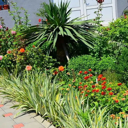 Bed & Breakfast Mila Riverside Smederevo